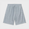 Carhartt Wip Rainer Short Mirror Garment Dyed I036493-1NK-GD