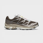 Salomon Xt-6 Earth Brown Walnut Footwear Silver L49209900