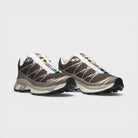 Salomon Xt-6 Earth Brown Walnut Footwear Silver L49209900